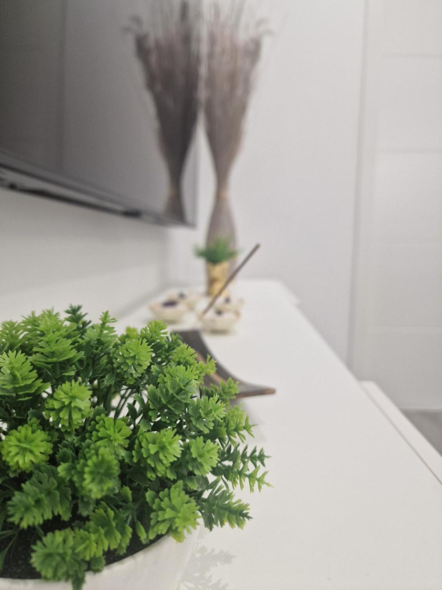 오스피탈레트 데 요브레가트 Barcelona, Apartamento De 1 Habitacion 아파트 외부 사진